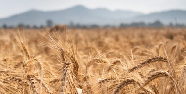 Mercosur, qualche luce e molte ombre