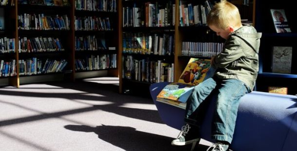 biblioteche pubbliche lettura