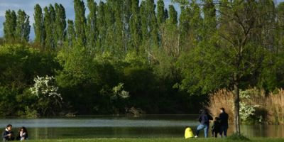 Vasco Rossi, il premio per la tutela dell'ambiente e i concerti in programma al Parco Urbano